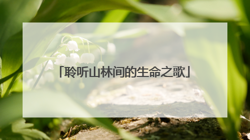 聆听山林间的生命之歌