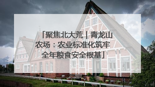 聚焦北大荒｜青龙山农场：农业标准化筑牢全年粮食安全根基