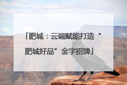 肥城：云端赋能打造“肥城好品”金字招牌