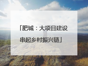肥城：大项目建设串起乡村振兴链