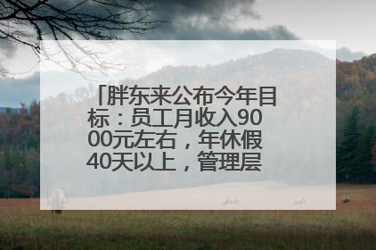 胖东来公布今年目标：员工月收入9000元左右，年休假40天以上，管理层人均分配70万元