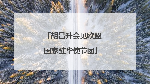 胡昌升会见欧盟国家驻华使节团