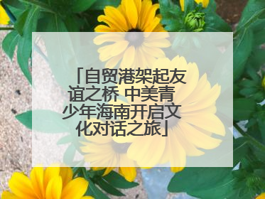 自贸港架起友谊之桥 中美青少年海南开启文化对话之旅