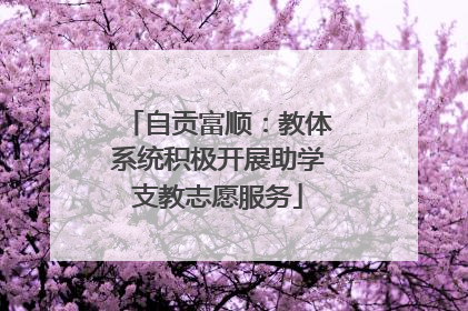 自贡富顺：教体系统积极开展助学支教志愿服务