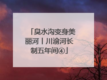 臭水沟变身美丽河丨川渝河长制五年间④