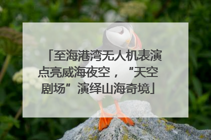 至海港湾无人机表演点亮威海夜空，“天空剧场”演绎山海奇境