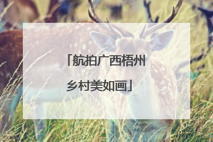 航拍广西梧州乡村美如画