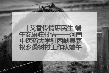 艾香传情惠民生 端午安康驻村情——河南中医药大学驻西峡县寨根乡桑树村工作队端午中医惠民记