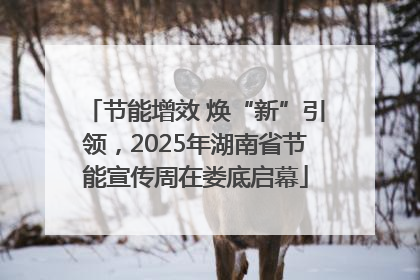 节能增效 焕“新”引领，2025年湖南省节能宣传周在娄底启幕