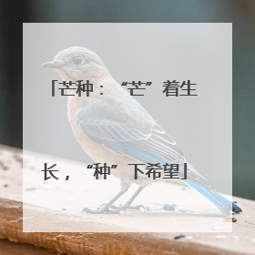 芒种：“芒”着生长，“种”下希望