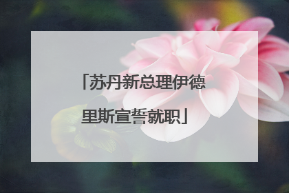 苏丹新总理伊德里斯宣誓就职