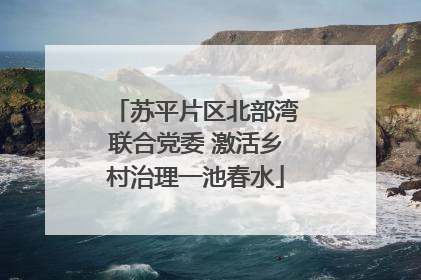 苏平片区北部湾联合党委 激活乡村治理一池春水