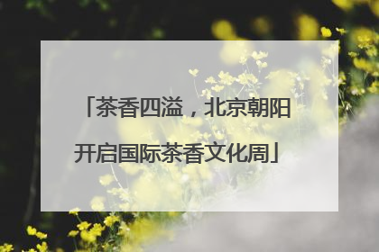 茶香四溢，北京朝阳开启国际茶香文化周