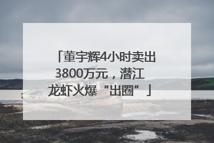 董宇辉4小时卖出3800万元，潜江龙虾火爆“出圈”