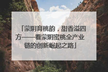 蒙阴育桃韵，甜香溢四方——看蒙阴蜜桃全产业链的创新崛起之路
