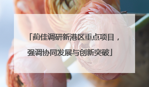 蔺佳调研新港区重点项目，强调协同发展与创新突破