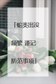 蛇类出没频繁 谨记防范事项