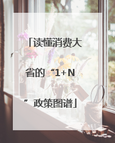 读懂消费大省的“1+N”政策图谱