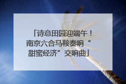诗意田园迎端午！南京六合马鞍奏响“甜蜜经济”交响曲