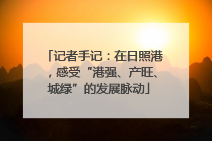 记者手记：在日照港，感受“港强、产旺、城绿”的发展脉动