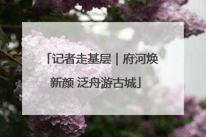 记者走基层｜府河焕新颜 泛舟游古城
