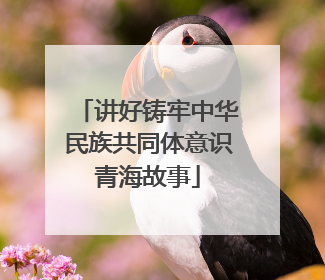 讲好铸牢中华民族共同体意识青海故事