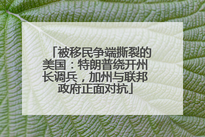 被移民争端撕裂的美国：特朗普绕开州长调兵，加州与联邦政府正面对抗