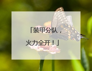 装甲分队，火力全开！