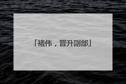 褚伟，晋升副部