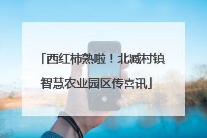西红柿熟啦！北臧村镇智慧农业园区传喜讯