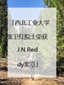 西北工业大学张卫红院士荣获J.N.Reddy奖章
