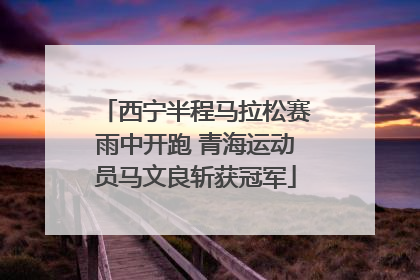 西宁半程马拉松赛雨中开跑 青海运动员马文良斩获冠军