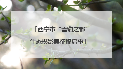 西宁市“雪豹之都”生态摄影展征稿启事