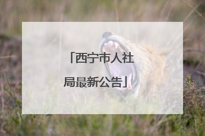 西宁市人社局最新公告