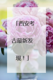西安考古最新发现！