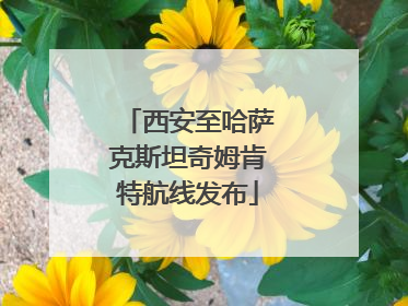 西安至哈萨克斯坦奇姆肯特航线发布