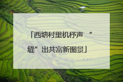 西塘村里机杼声 “缝”出共富新图景