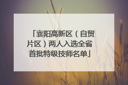 襄阳高新区（自贸片区）两人入选全省首批特级技师名单
