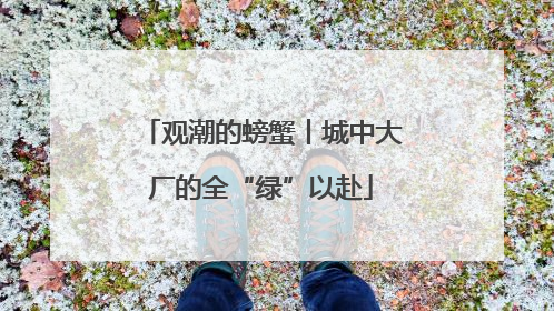 观潮的螃蟹丨城中大厂的全“绿”以赴
