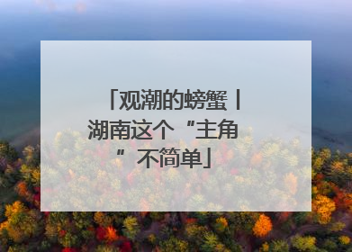 观潮的螃蟹丨湖南这个“主角”不简单