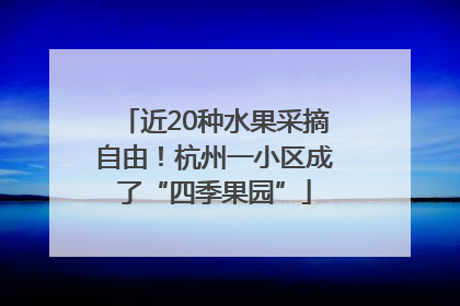 近20种水果采摘自由！杭州一小区成了“四季果园”