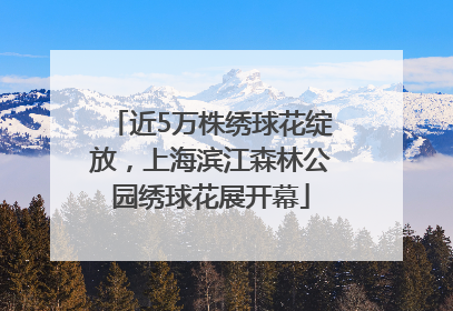 近5万株绣球花绽放，上海滨江森林公园绣球花展开幕