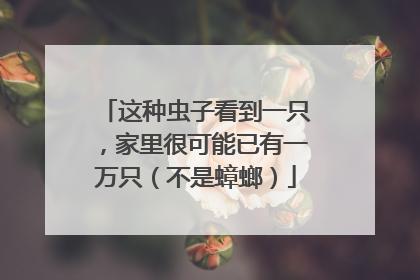 这种虫子看到一只，家里很可能已有一万只（不是蟑螂）