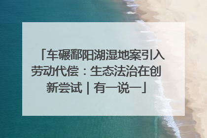 车碾鄱阳湖湿地案引入劳动代偿：生态法治在创新尝试｜有一说一