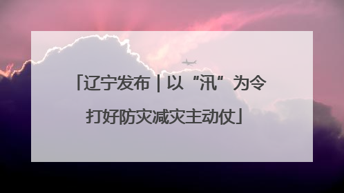 辽宁发布｜以“汛”为令 打好防灾减灾主动仗