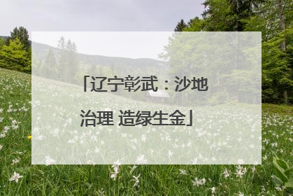 辽宁彰武：沙地治理 造绿生金