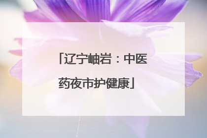 辽宁岫岩：中医药夜市护健康