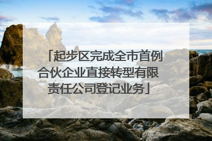 起步区完成全市首例合伙企业直接转型有限责任公司登记业务