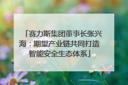赛力斯集团董事长张兴海：期望产业链共同打造智能安全生态体系