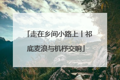 走在乡间小路上丨祁底麦浪与机杼交响